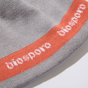 LINED LOGO  SINGLE BEANIE｜STEEL