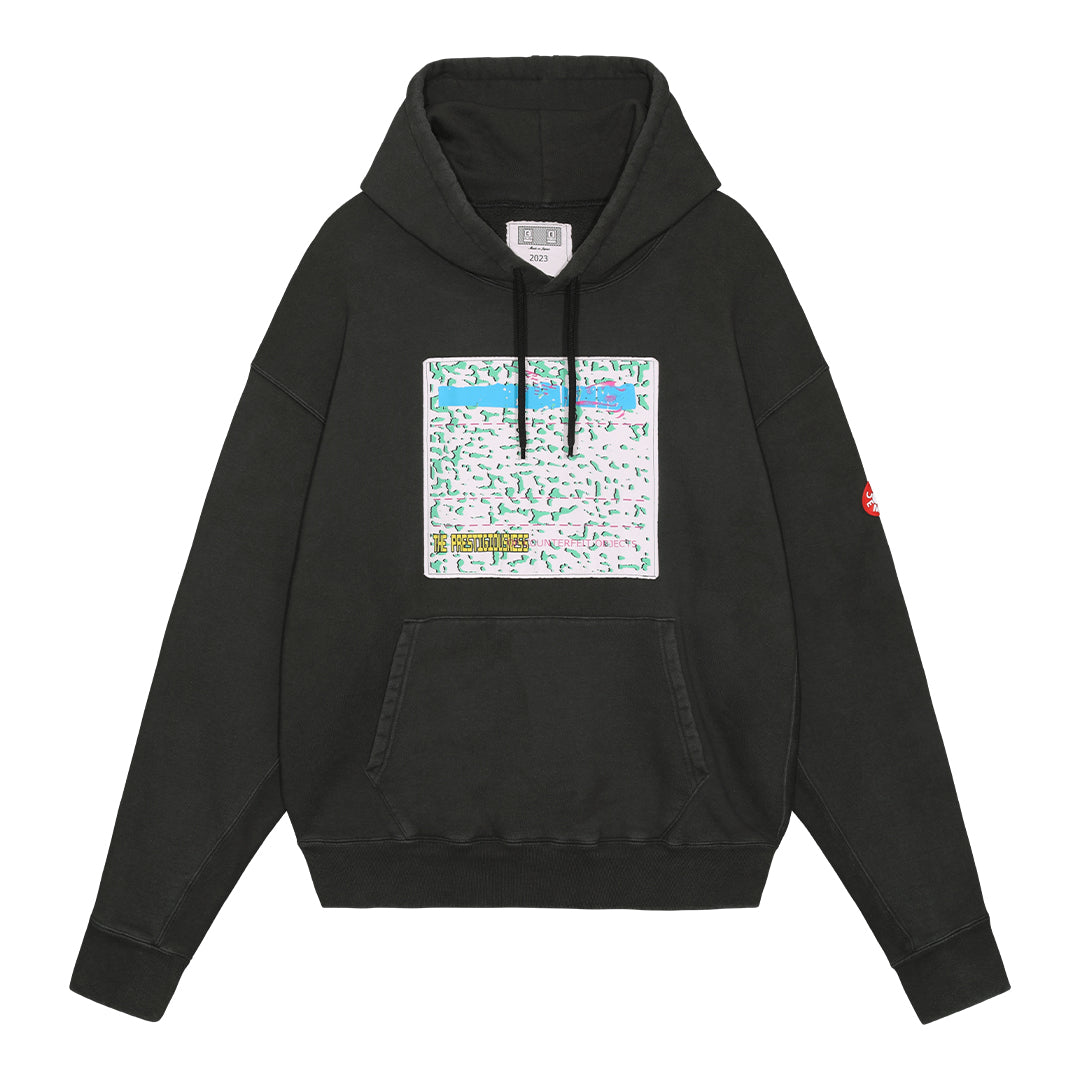 WASHED PRESTIGIOUSNESS HOODY