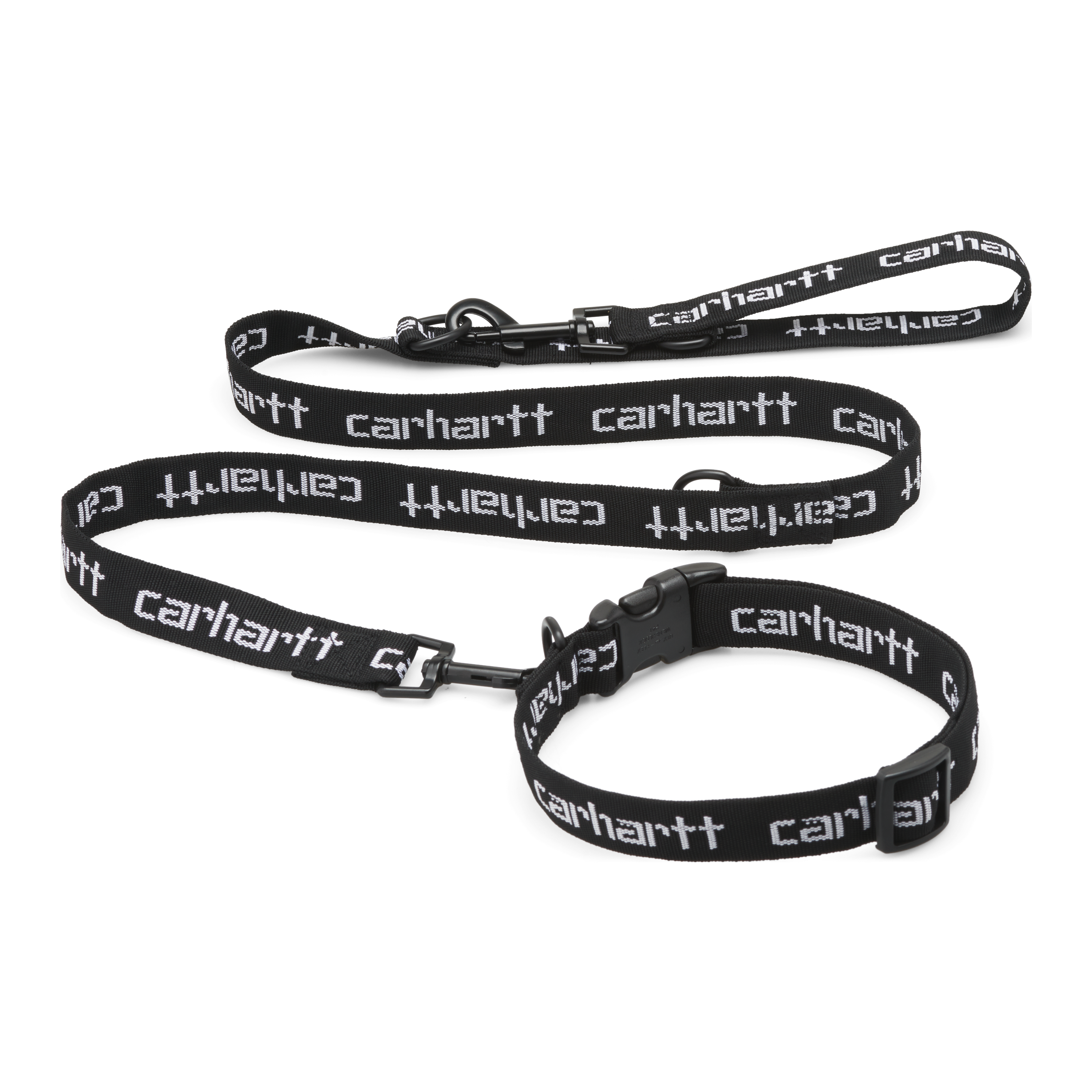 SCRIPT DOG LEASH & COLLAR | BLACK / WHITE